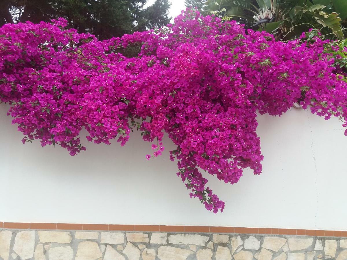 La Casa Del Nonno Milazzo Exterior foto